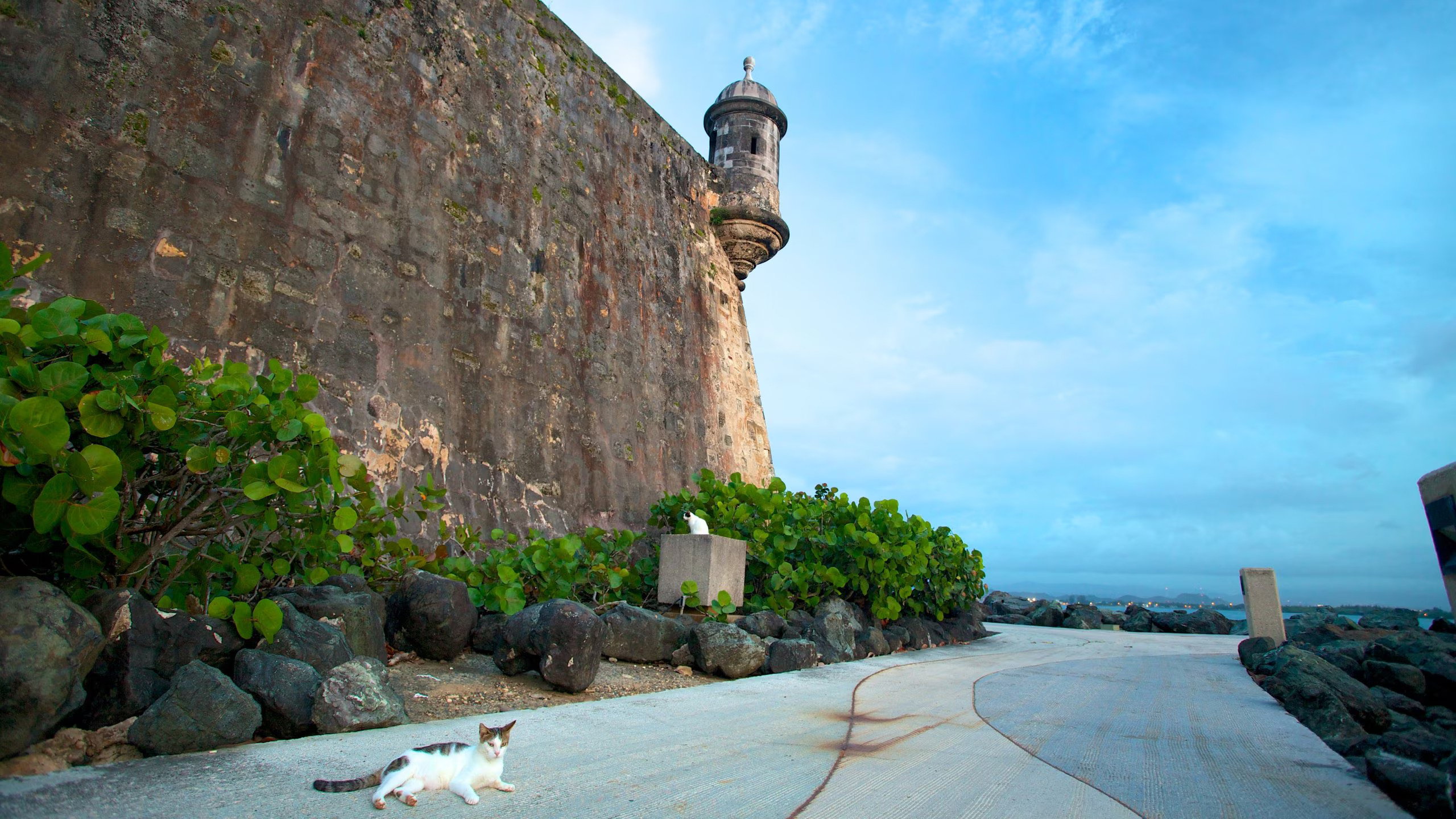 Where to Find Weed in San Juan, Puerto Rico