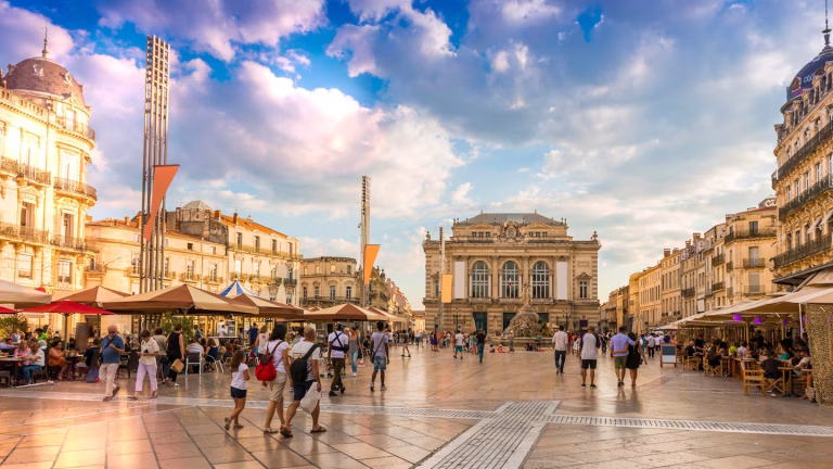 Weed Hook up in Montpellier, France