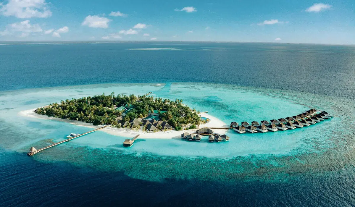 Weed in Maldives