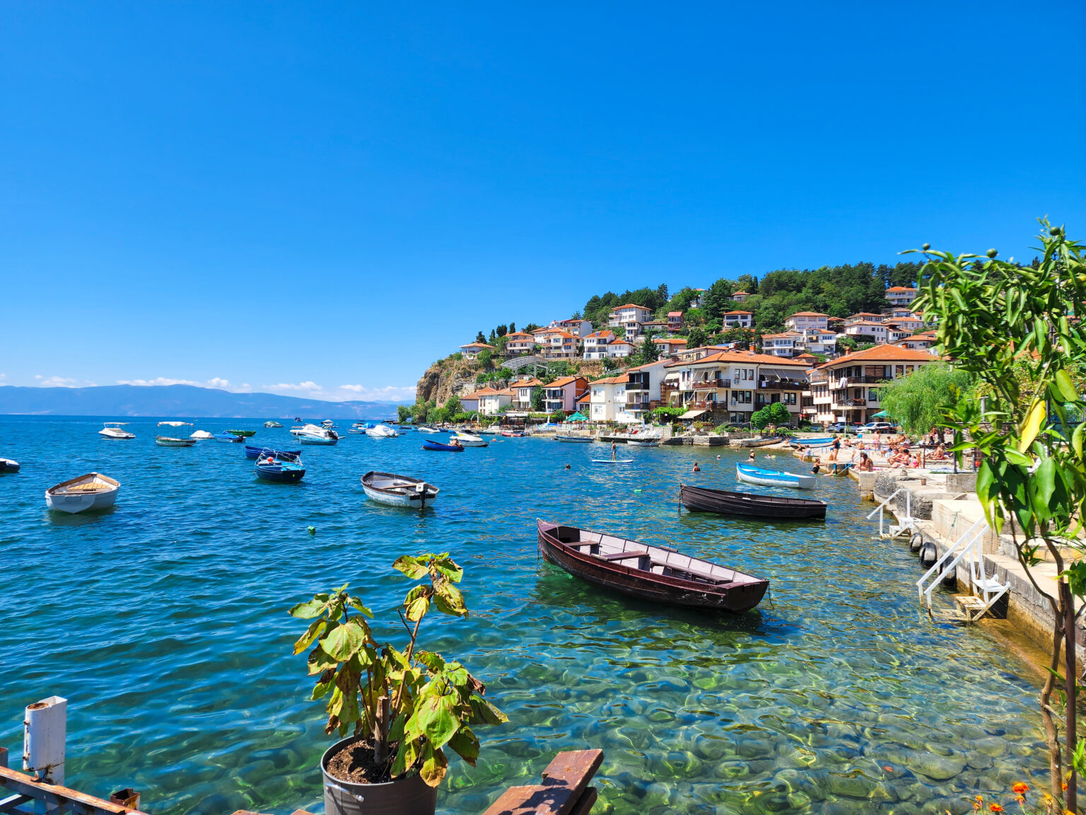 Cannabis in Ohrid