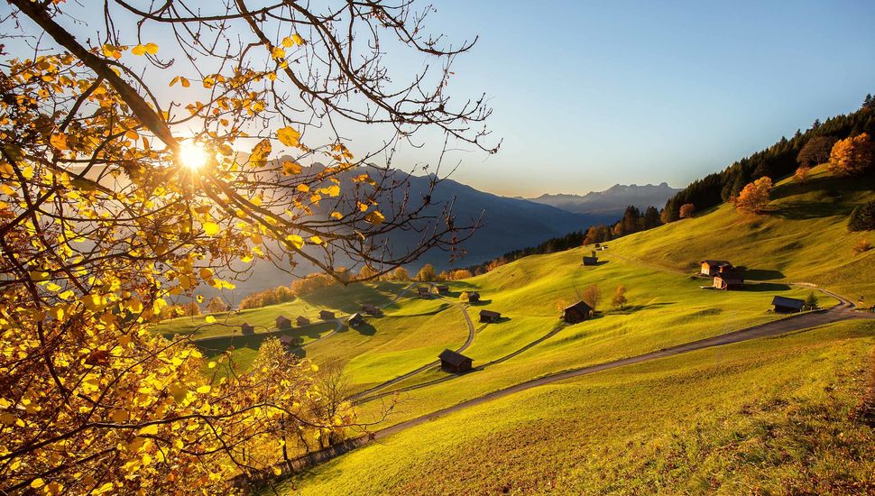 How Can i Find Weed in Triesenberg, Liechtenstein