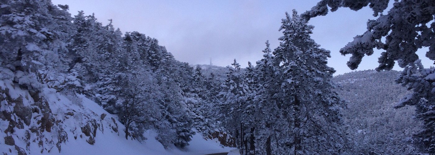 Where to Get Weed in Acharnes, Greece