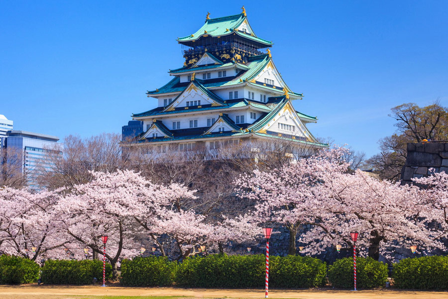 How to Get Weed in Osaka - Japan