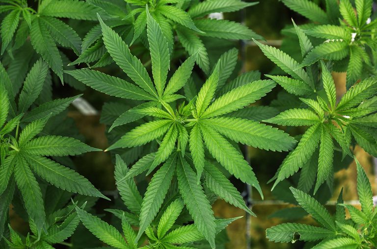 Weed in Boracay, Philippines – Cannabis Travel Guide