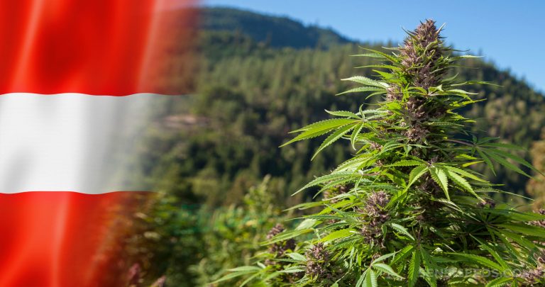 Cannabis-in-Austria