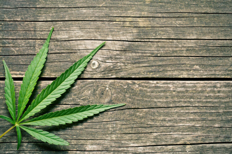 Weed in Innsbruck