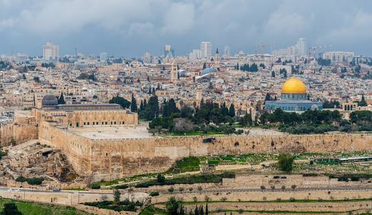 Weed in Jerusalem