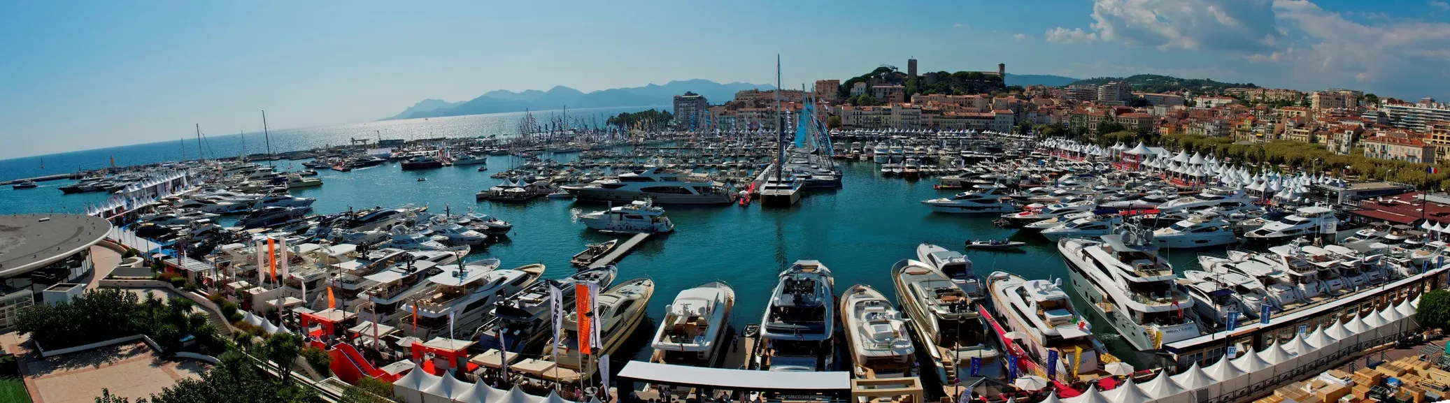 Weed in Cannes