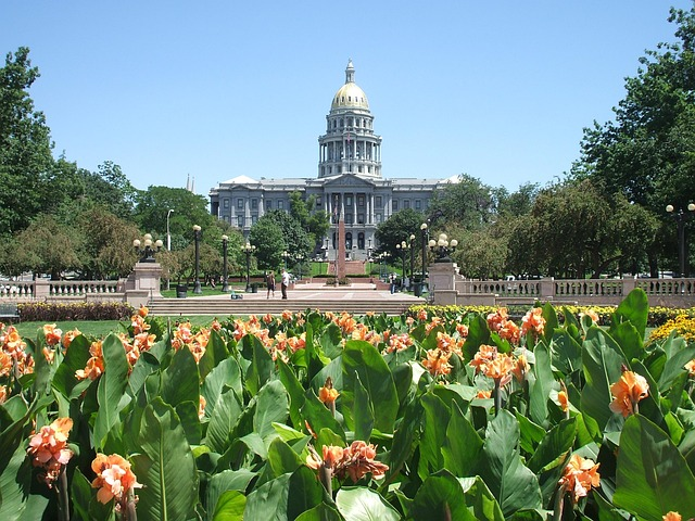Cheapest Weed in Denver 2 Cheapest Weed in Denver