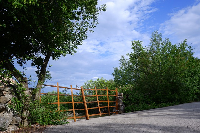 Find Weed in Krk, Croatia 2 Find Weed in Krk, Croatia