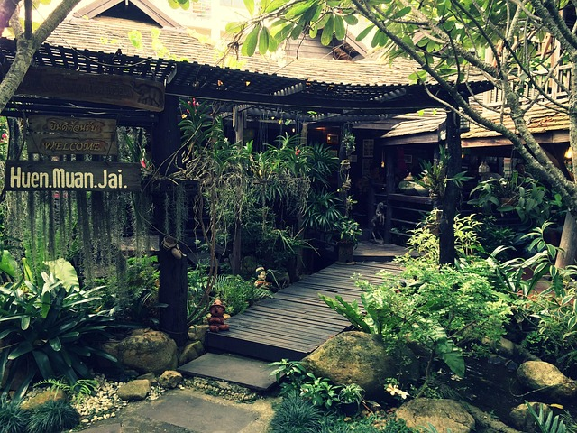 How to get Weed in Chiang Mai 2 How to Get Weed in Chiang Mai