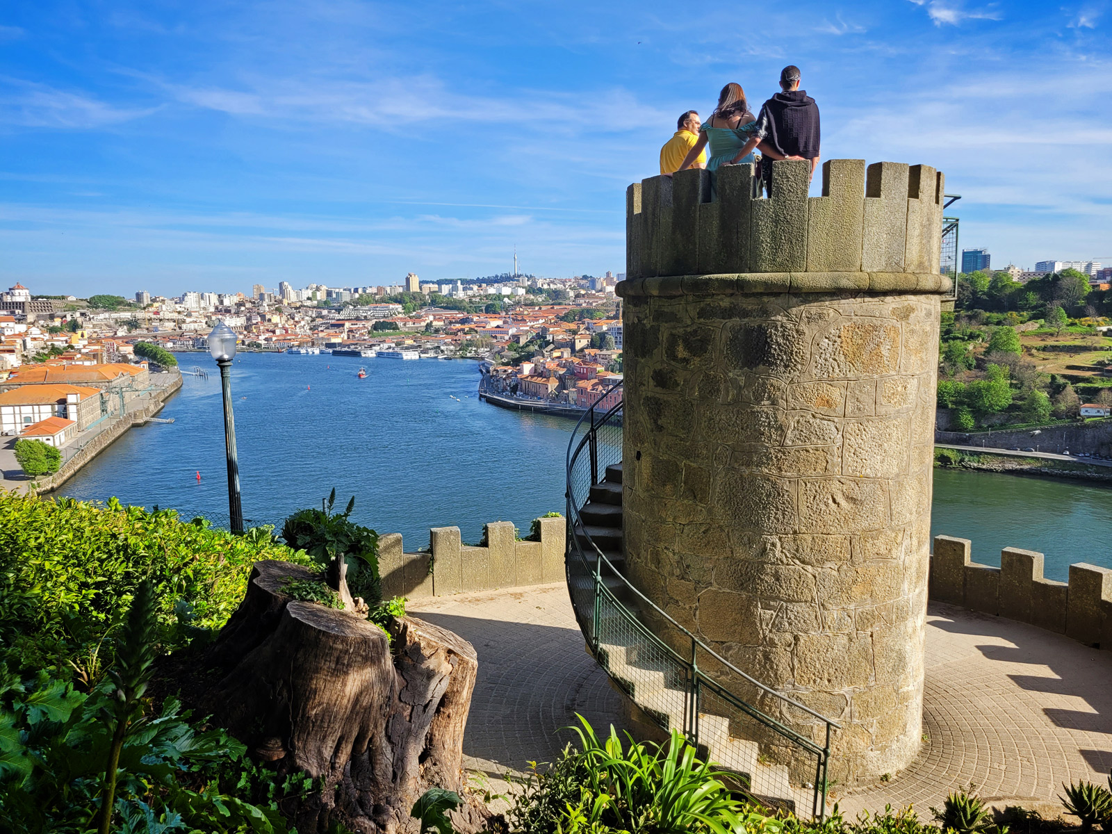 Weed in Porto