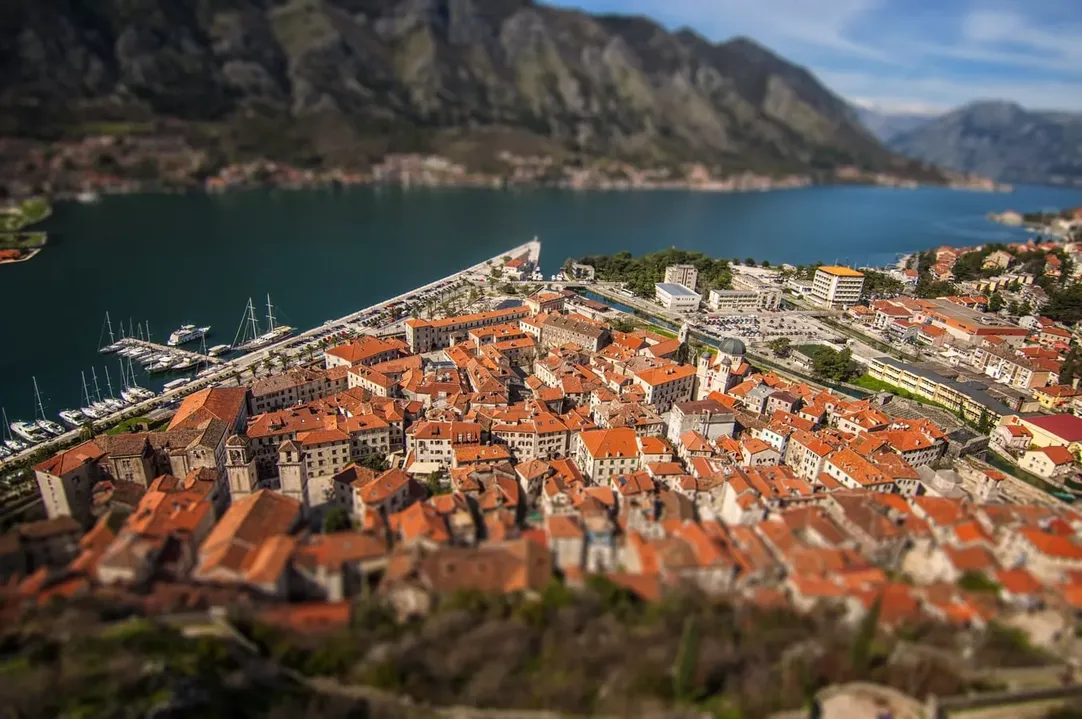 Weed in Kotor