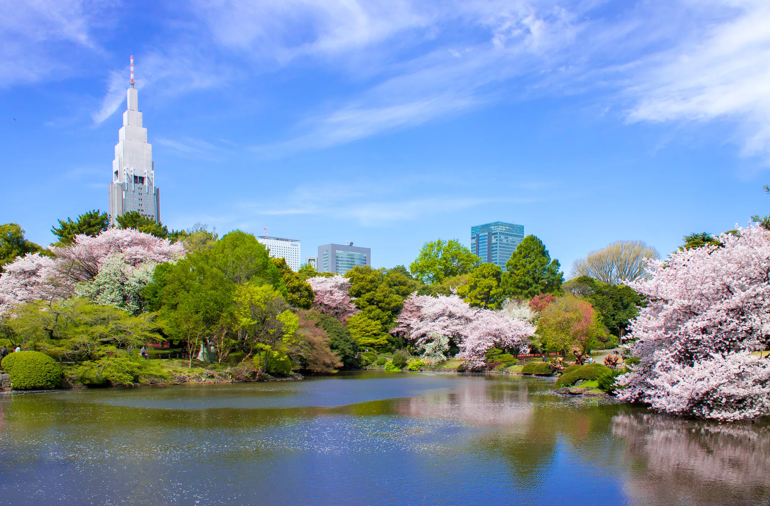 Where can I Buy Weed in Tokyo, Japan
